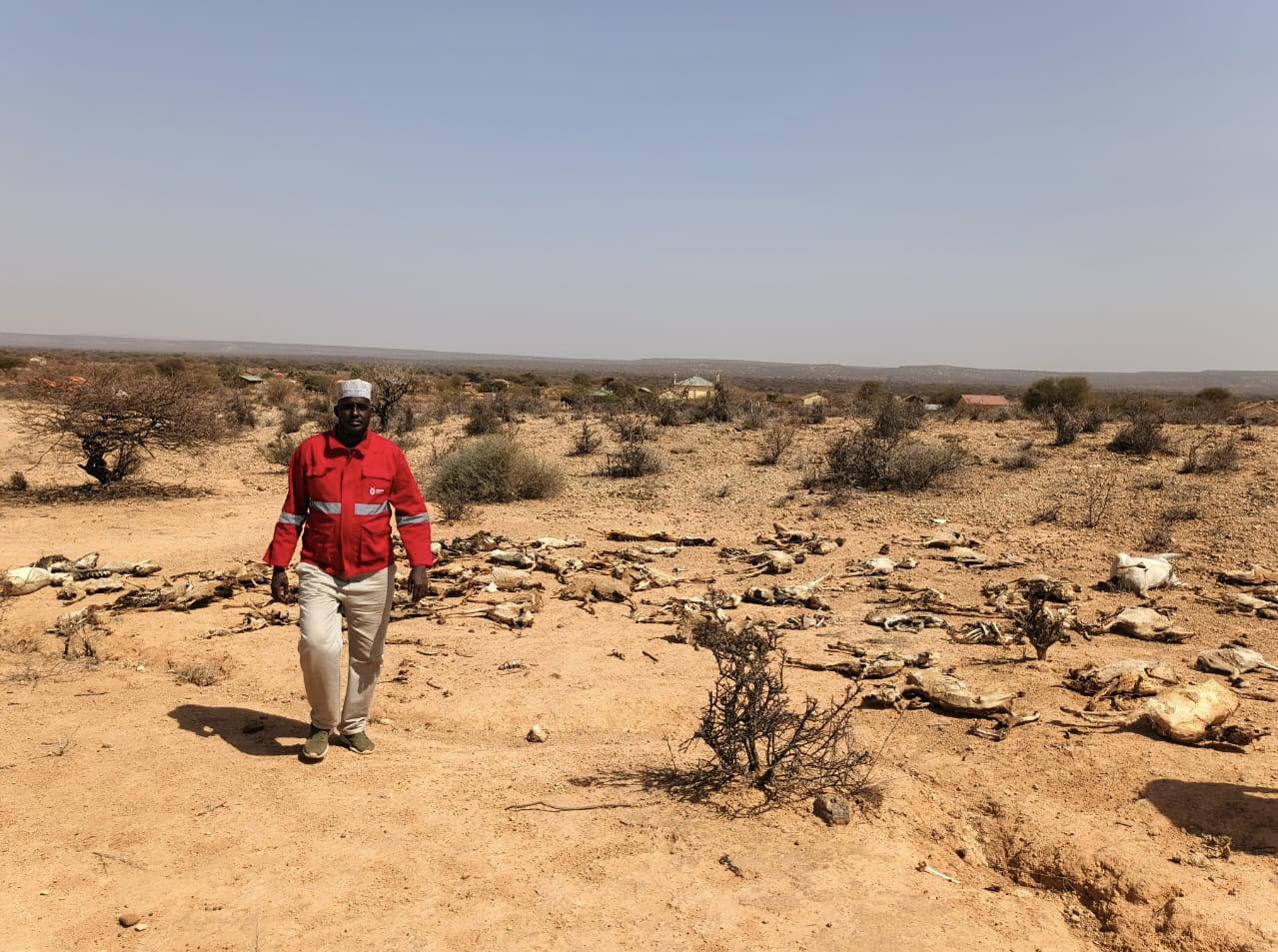 Pastoralist MPs Demand Immediate National Disaster Declaration Over Worsening Drought